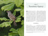 North American Landbirds in the Western Palearctic, Ross Ahmed, 2026