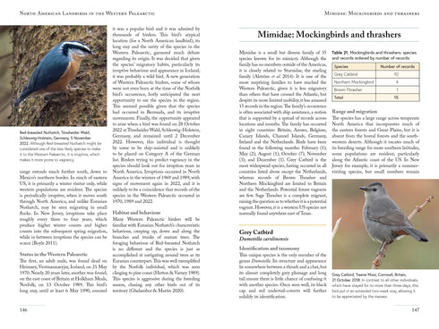 North American Landbirds in the Western Palearctic, Ross Ahmed, 2026