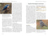 North American Landbirds in the Western Palearctic, Ross Ahmed, 2026