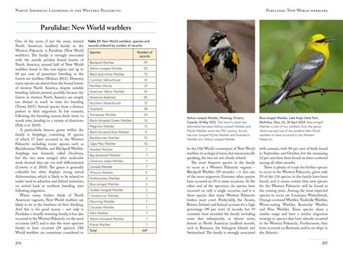 North American Landbirds in the Western Palearctic, Ross Ahmed, 2026