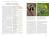 North American Landbirds in the Western Palearctic, Ross Ahmed, 2026