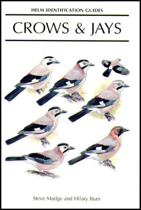 Crows & Jays - Madge,S. 1999