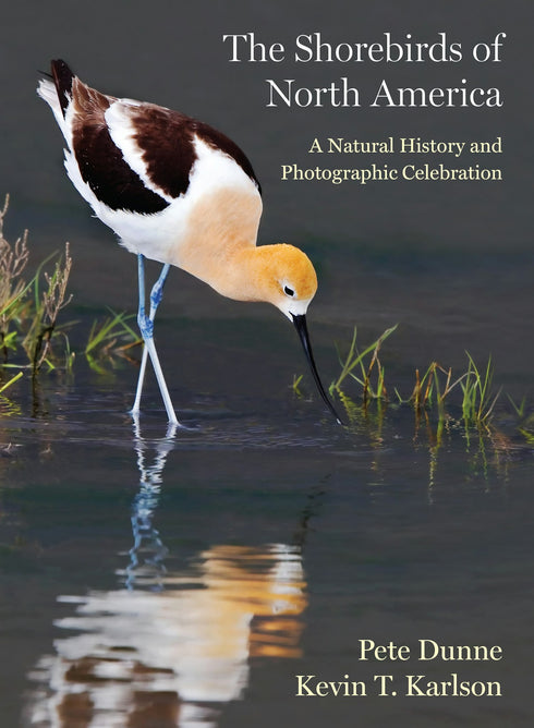 The Shorebirds of North America: A Natural History and Photographic Celebration, Dunne ym 2024