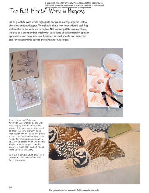 Drawing Nature, Feltner, L. 2024