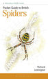 Pocket guide to British Spiders - Richard Lewington 2025