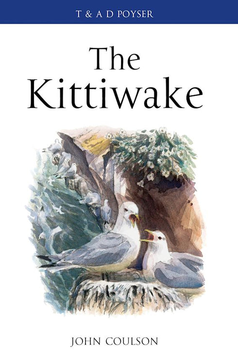The Kittiwake (Coulson) 2011