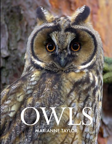 Owls - Taylor 2012