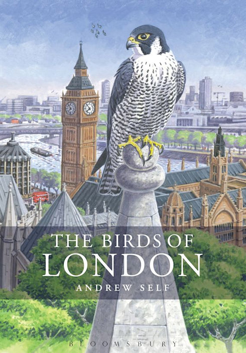 The Birds of London - Andrew Self 2014