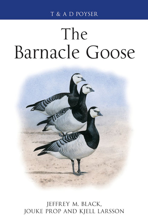 The Barnacle Goose - Jeffrey M. Black 2014
