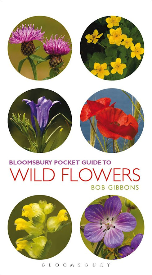 Bloomsbury Pocket Guide to Wild Flowers (Gibbons) 2015