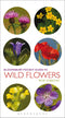 Bloomsbury Pocket Guide to Wild Flowers (Gibbons) 2015