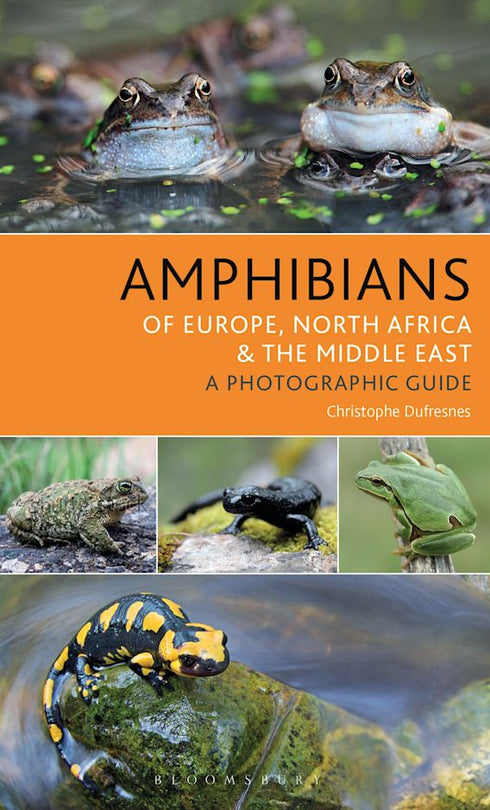 Amphibians of Europe, North Afica & the Middle East - Dufresnes,C. 2019