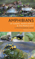 Amphibians of Europe, North Afica & the Middle East - Dufresnes,C. 2019