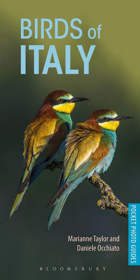 Birds of Italy - pocket photo guide (Taylor) 2018