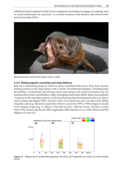 Bat Calls of Britain and Europe. A Guide to specues identification. (Russ) 2021