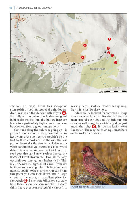 Wildlife Guide to Georgia