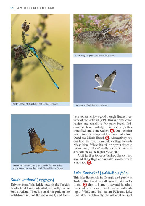 Wildlife Guide to Georgia