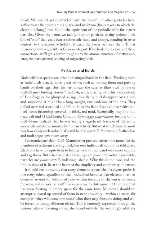 The Physics of Birds and Birding The Sounds, Colors and Movements of Birds, and Our Tools for Watching Them ByMichael Hurben, 2025