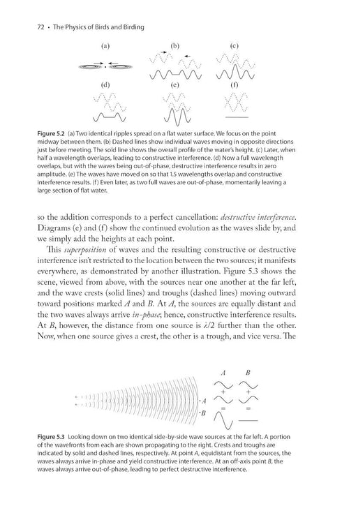 The Physics of Birds and Birding The Sounds, Colors and Movements of Birds, and Our Tools for Watching Them ByMichael Hurben, 2025