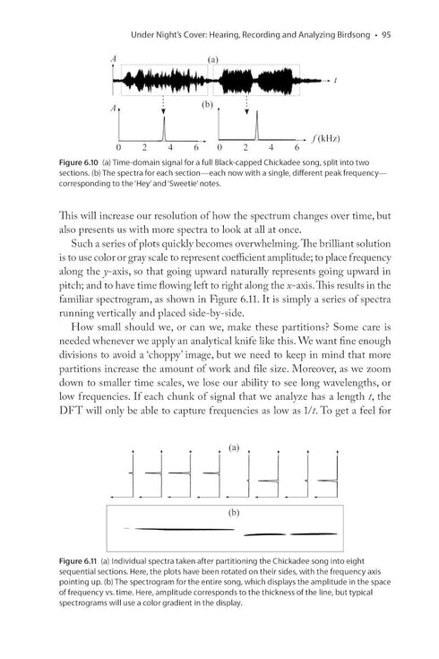 The Physics of Birds and Birding The Sounds, Colors and Movements of Birds, and Our Tools for Watching Them ByMichael Hurben, 2025