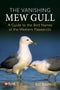Vanishing Mew Gull - Reedman, R. 2024