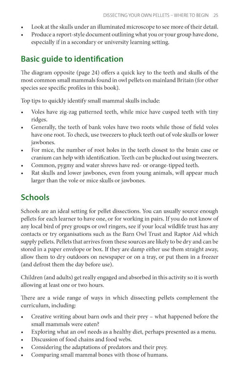 Bird pellets, complete photographic guide - Drewitt 2024