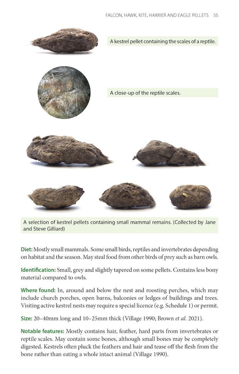 Bird pellets, complete photographic guide - Drewitt 2024