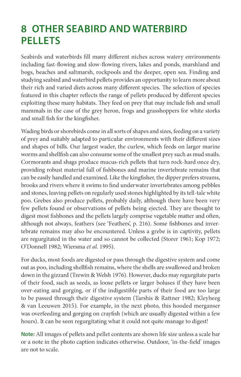 Bird pellets, complete photographic guide - Drewitt 2024
