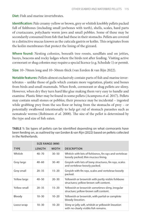 Bird pellets, complete photographic guide - Drewitt 2024