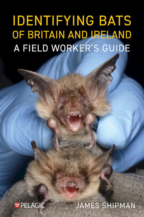 Identifying Bats of Britain and Ireland A Field Worker’s Guide ByJames Shipman, 2025