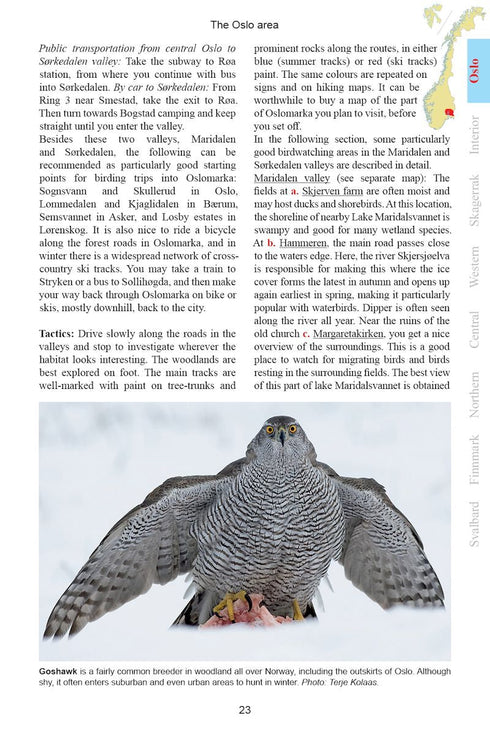 Birdwatcher's guide to Norway, 2nd Ed - Tveit 2024 - Norjan lintupaikka-opas