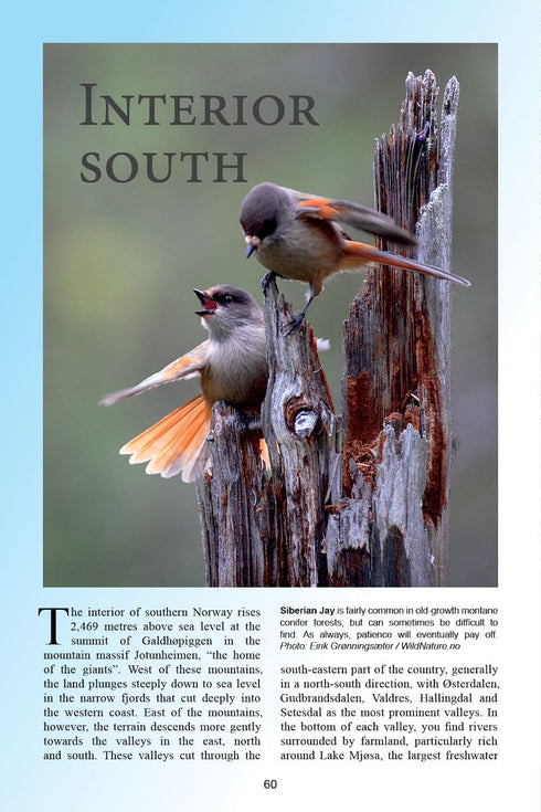 Birdwatcher's guide to Norway, 2nd Ed - Tveit 2024 - Norjan lintupaikka-opas