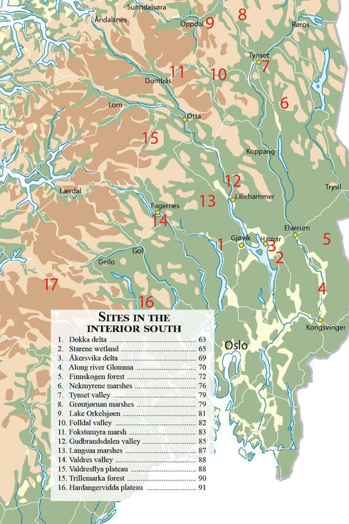Birdwatcher's guide to Norway, 2nd Ed - Tveit 2024 - Norjan lintupaikka-opas