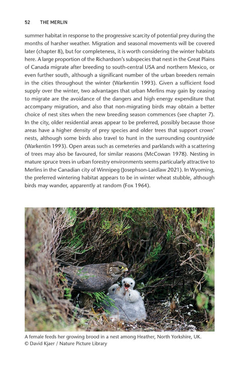 The Merlin The Ecology of a Magical Raptor ByFrank Rennie, 2025