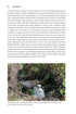 The Merlin The Ecology of a Magical Raptor ByFrank Rennie, 2025