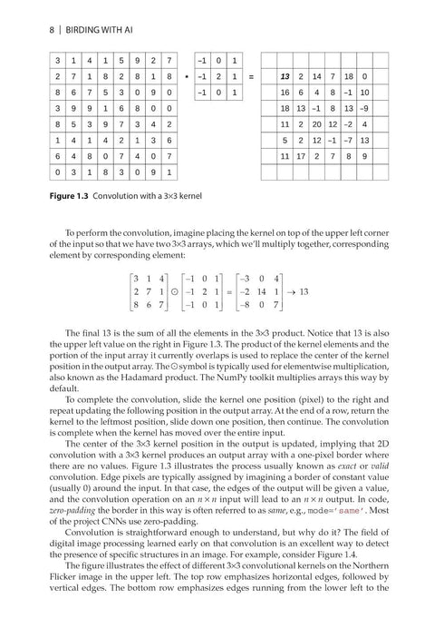 Birding with AI Concepts and Projects for Ornithology ByRonald T. Kneusel, 2025