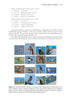 Birding with AI Concepts and Projects for Ornithology ByRonald T. Kneusel, 2025