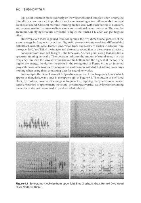 Birding with AI Concepts and Projects for Ornithology ByRonald T. Kneusel, 2025
