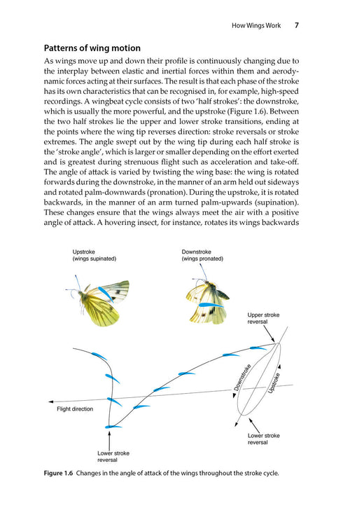 Insect Flight An Insect-Eye View of Flight Behaviour in the Wild By John H. Brackenbury, 2026