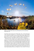 Insect Flight An Insect-Eye View of Flight Behaviour in the Wild By John H. Brackenbury, 2026