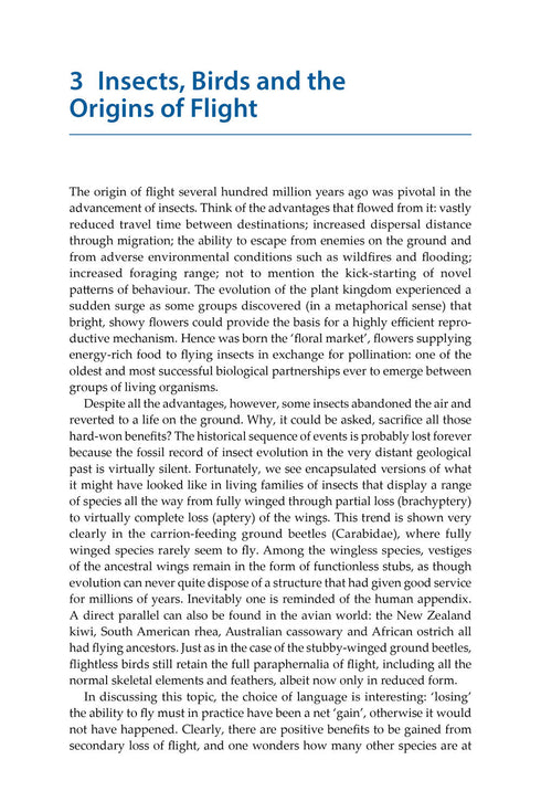Insect Flight An Insect-Eye View of Flight Behaviour in the Wild By John H. Brackenbury, 2026