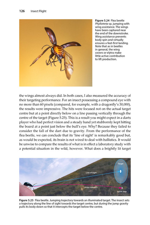 Insect Flight An Insect-Eye View of Flight Behaviour in the Wild By John H. Brackenbury, 2026