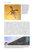 Insect Flight An Insect-Eye View of Flight Behaviour in the Wild By John H. Brackenbury, 2026