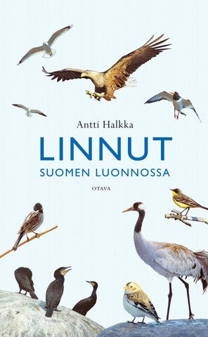Linnut Suomen luonnossa (Halkka)