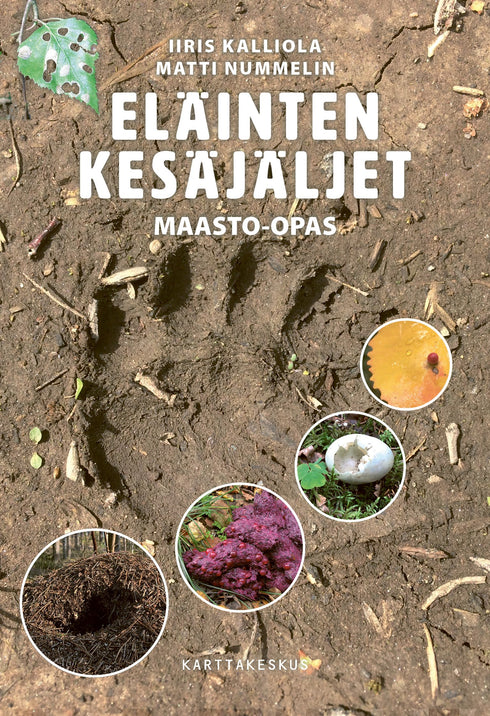 Eläinten kesäjäljet, Maasto-opas- Kalliola,I. 2021