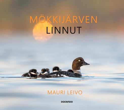 Mökkijärven linnut - Mauri Leivo 2024