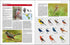 HBW Bird familes of the world, Lynx 2015