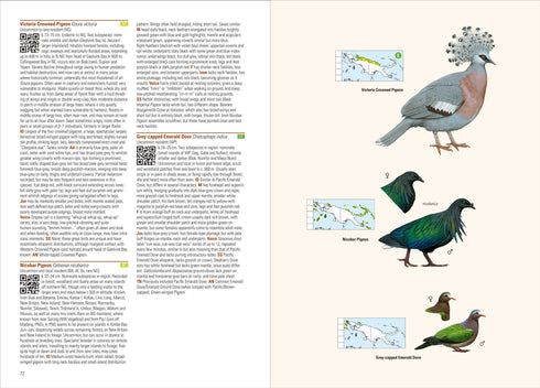 Birds of New Guinea 2. ed - Gregory, P. 2025, Lynx FLEXI