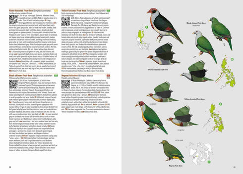 Birds of the Philippines - Desmond Allen 2020 Flexi