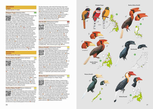 Birds of the Philippines - Desmond Allen 2020 Flexi